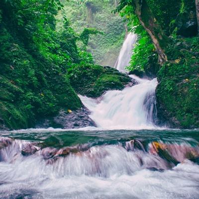 焚血诛仙手游下载